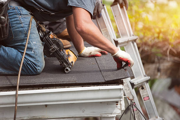 Best Gutter Installation and Roofing  in Churchill, PA